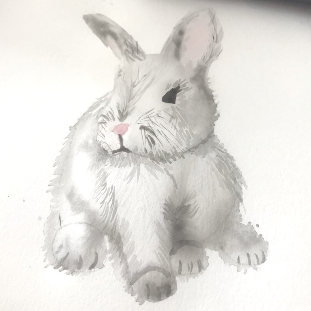 Fluffy Watercolor Bunny